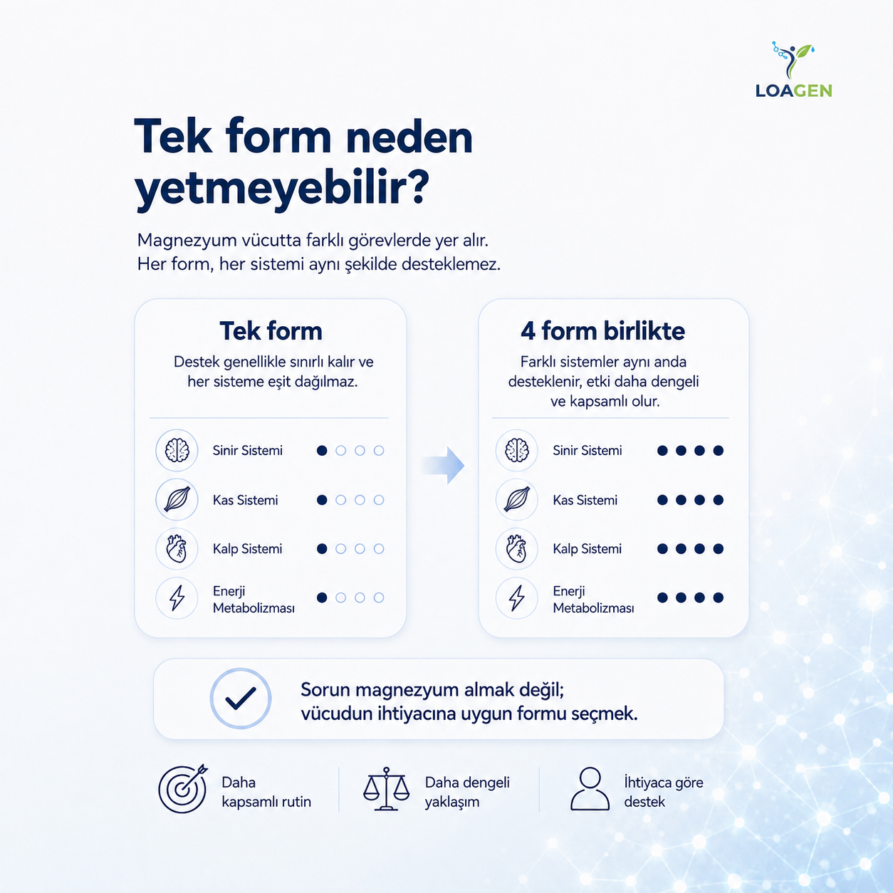 Yüksek Emilimli 4'lü Kompleks - Magnativ™