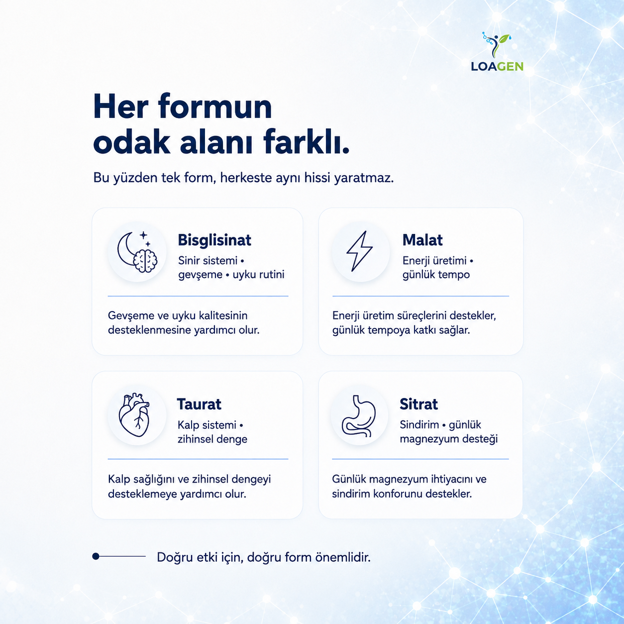 Yüksek Emilimli 4'lü Kompleks - Magnativ™